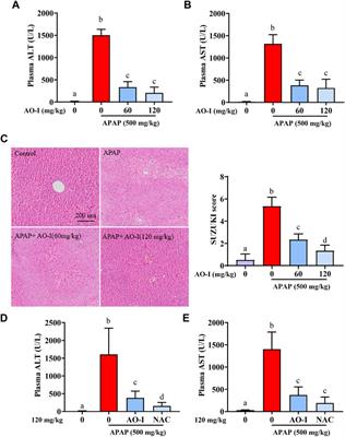 Atractylenolide I Ameliorates Acetaminophen-Induced Acute Liver Injury via the TLR4/MAPKs/NF-κB Signaling Pathways